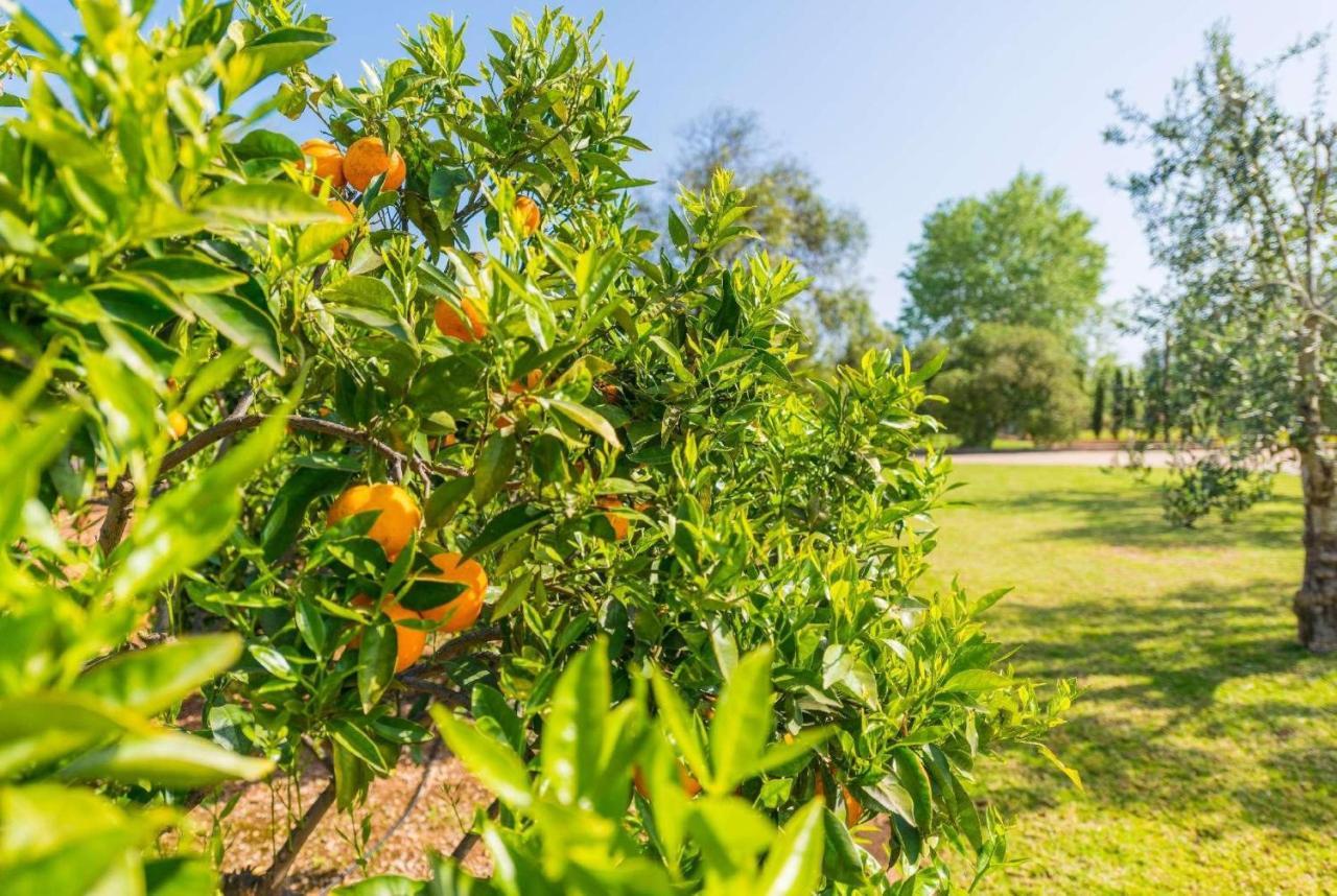 Son Marc I Villa Sa Pobla Dış mekan fotoğraf